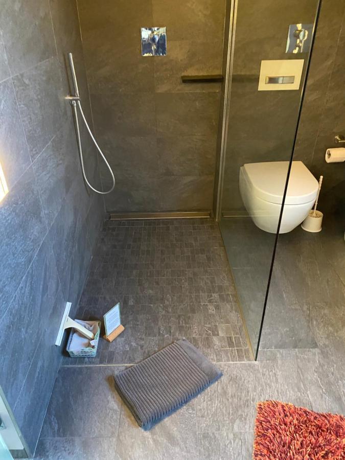 Apartment Mit Dachloggia Saarlouis Zewnętrze zdjęcie