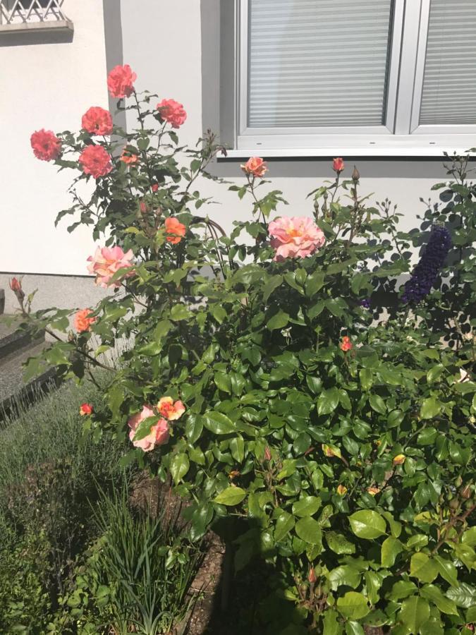 Apartment Mit Dachloggia Saarlouis Zewnętrze zdjęcie