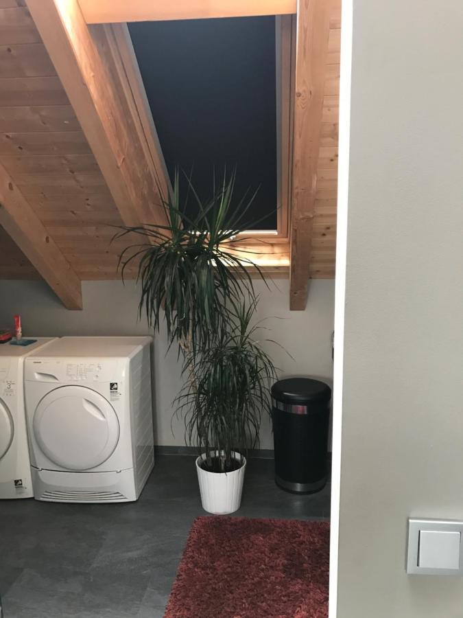 Apartment Mit Dachloggia Saarlouis Zewnętrze zdjęcie