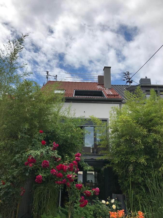 Apartment Mit Dachloggia Saarlouis Zewnętrze zdjęcie